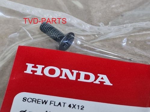 Screw for the brake fluid reservoir Honda MBX NSR